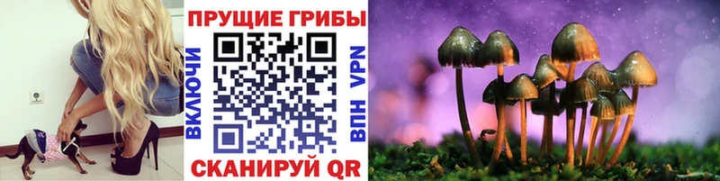 даркнет как зайти  Гагарин  Псилоцибиновые грибы прущие грибы 